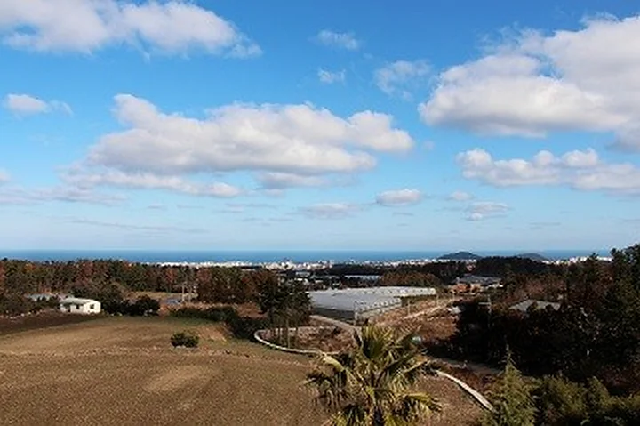 Jeju landscape